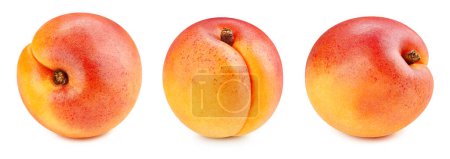 Photo for Collection apricot. Apricot with clipping path isolated on a white background. Fresh organic apricot. Full depth of field - Royalty Free Image