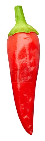 Foto de Pimienta picante roja aislada sobre fondo blanco. Camino de corte de pimienta de Cayena - Imagen libre de derechos