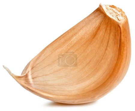 Garlic cloves isolated on white background. Garlic clipping path. Studio macro shooting