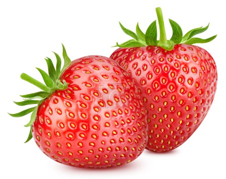 Téléchargez les photos : Chemin de coupe de fraises fraîches mûres. Fraise fruits frais biologiques. Deux fraises isolées sur fond blanc. - en image libre de droit
