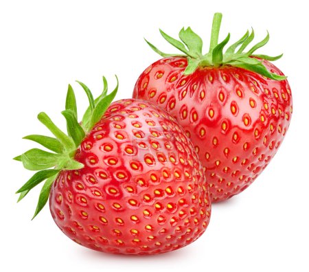 Two strawberries isolated on white background. Ripe fresh strawberry clipping path. Strawberry fresh organic fruit