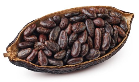 Kakaoschote halb isoliert auf weißem Hintergrund. Kakaofrucht mit Schnittpfad