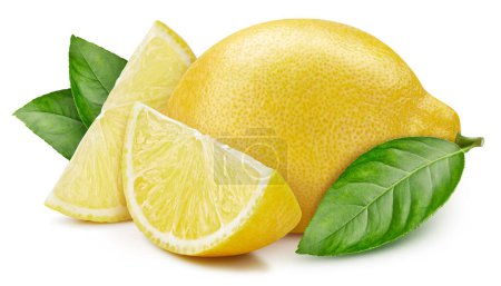 Foto de Grupo de limones con hojas aisladas sobre fondo blanco. Limón con camino de recorte - Imagen libre de derechos