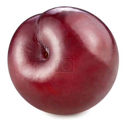 Photo for Plum isolated on white background. Ripe plum clipping path - Royalty Free Image