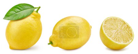 Foto de Colección de limón aislada sobre fondo blanco. Pruebe el limón con hojas. Profundidad completa del campo con ruta de recorte - Imagen libre de derechos