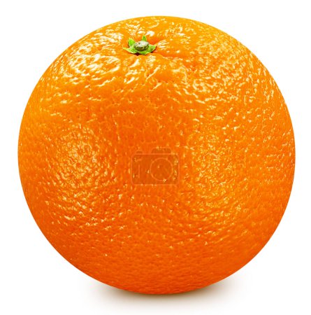 Foto de Frutos naranjas sobre fondo blanco. El archivo contiene ruta de recorte. - Imagen libre de derechos