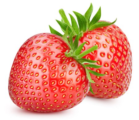 Téléchargez les photos : Deux fraises. Fraise biologique fraîche isolée sur fond blanc. Macro fraise - en image libre de droit