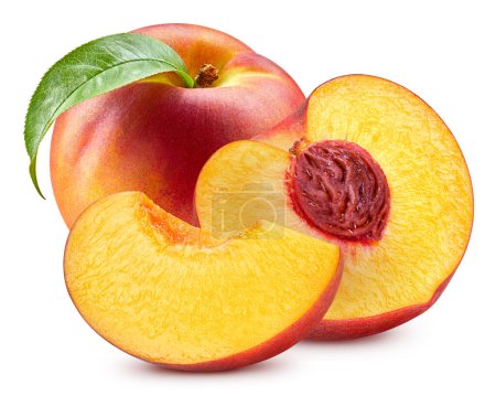 Photo for Fresh peach leaf isolated on white. Organic peach. Peach clipping path. Full depth of field - Royalty Free Image