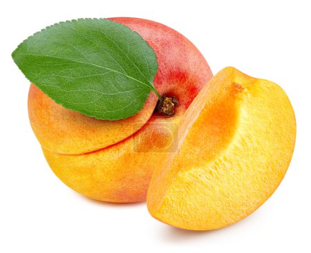 Téléchargez les photos : Abricot isolé sur fond blanc. Chemin de coupe de fruits abricot. Abricot demi macro studio photo - en image libre de droit