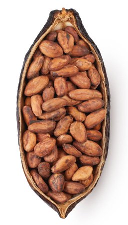 Kakaoschote halb isoliert auf weißem Hintergrund. Kakaofrucht mit Schnittpfad