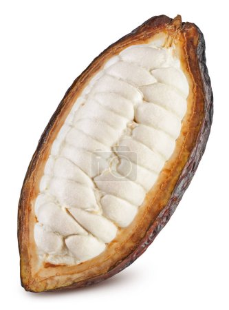 Frische Kakaoschote halb isoliert auf weißem Hintergrund. Kakaofrucht mit Schnittpfad