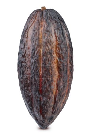 Téléchargez les photos : Haricot de cacao avec chemin de coupe. Morceaux de cacao isolés sur un fond blanc - en image libre de droit