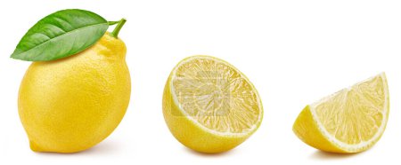 Photo for Lemon close up on white background. Collection lemon. Fresh organic lemon - Royalty Free Image