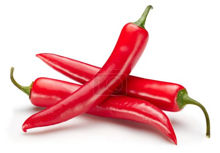 Photo for Ripe red hot chili peppers vegetable isolated on white background. Hot peppers chili composition with clipping path. Chili macro studio photo - Royalty Free Image