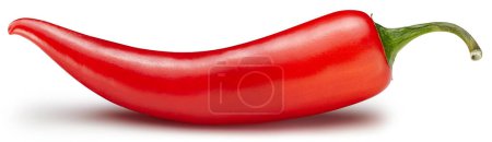 Photo for Clipping path isolated hot chili peppers. Peppers chili full macro shoot food ingredient on white isolated. Pile of peppers chil - Royalty Free Image