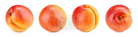 Photo for Fresh organic apricot isolated on white. Apricot collection clipping path. Full depth of field - Royalty Free Image