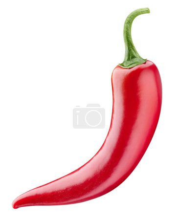 Photo for Chili pepper isolated on white background. Spicy chili pepper clipping path. Cayenne organic pepper. Full depth of field - Royalty Free Image