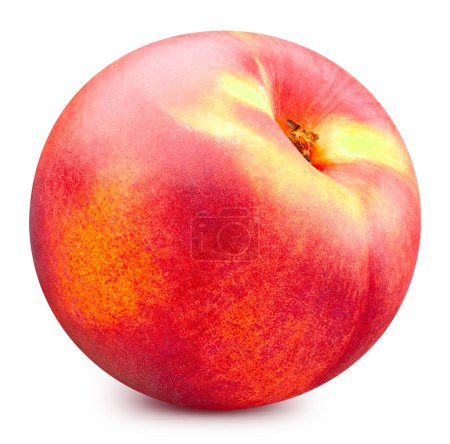 Photo for Red peach isolated on white. Fresh peach fruit. Ripe peach clipping path. Full depth of field - Royalty Free Image