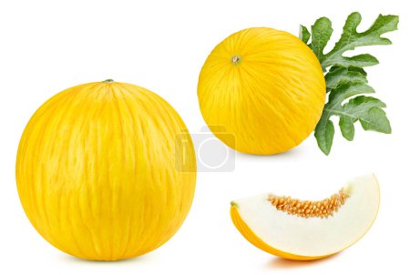 Photo for Melon fruit with leaves isolated on white background. Melon clipping path. - Royalty Free Image