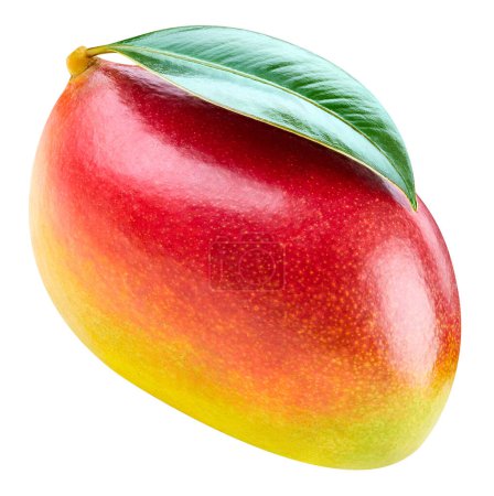 Téléchargez les photos : Mangue fruits tropicaux avec des feuilles isolées sur fond blanc. Chemin de coupe de mangue. - en image libre de droit