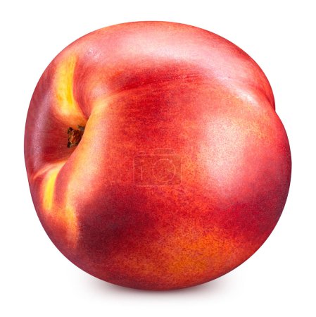 Photo for Red peach isolated on white. Fresh peach fruit. Ripe peach clipping path. Full depth of field - Royalty Free Image