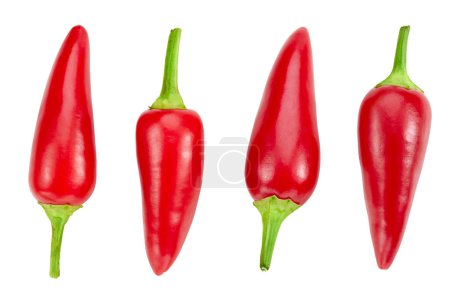 Photo for Chili Collection Clipping Path. Chili peppers isolated on white background. Professional studio macro shooting. Chili close up shot - Royalty Free Image