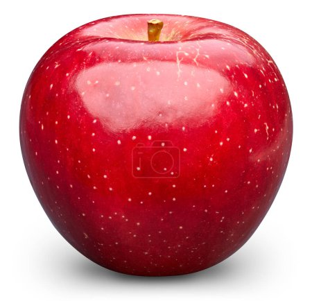 Photo for Red apple isolated on white background. Apple macro studio photo - Royalty Free Image