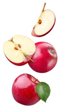 Foto de Fruto de manzana roja y hojas aisladas sobre un fondo blanco. Manzana roja con hojas recortando camino. Volar en el aire manzana - Imagen libre de derechos