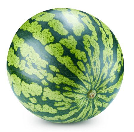 Photo for Watermelon fruit isolate. Watermelon on white. Watermelon clipping path - Royalty Free Image