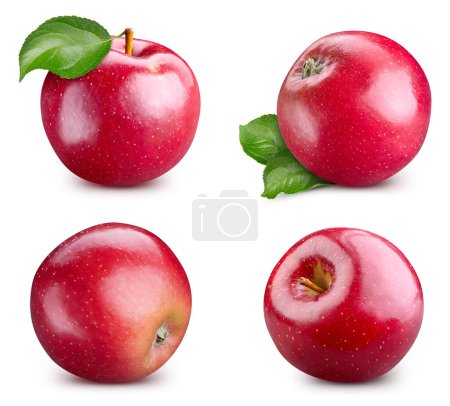Foto de Colección de manzana roja aislada. Manzana roja sobre blanco. Profundidad total del campo. Con camino de recorte - Imagen libre de derechos