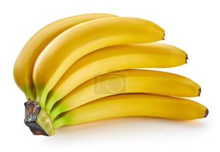 Banana fruit isolated on a white background. Bunch of bananas clipping path