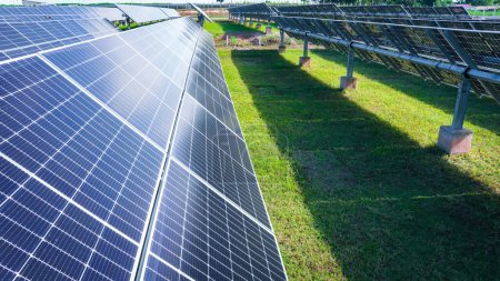 Planta de energía solar (célula solar) en la temporada de verano, el clima caliente provoca un aumento de la producción de energía, Energía alternativa para conservar la energía del mundo, Idea de módulo fotovoltaico para la producción de energía limpia.