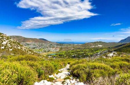 Foto de Dirt Track hiking paths on top of a mountain by the coast in Cape Town - Imagen libre de derechos