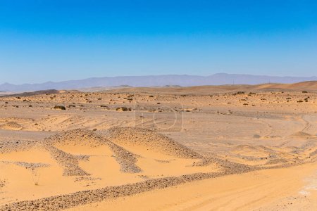 Orange sand dunes in the Richtersveld National Park, South Afric