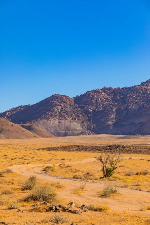 Wide open area in the Richtersveld National Park, arid area of South Africa