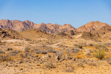 Vue imprenable sur le désert dans le parc national Richtersveld, zone aride d'Afrique du Sud