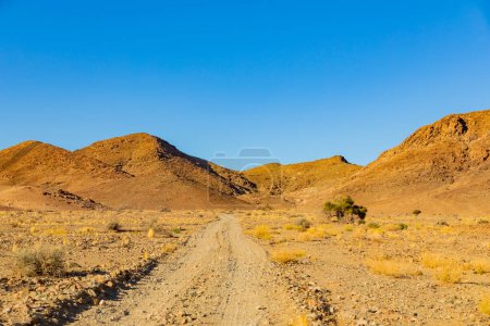 Gravel track in the Richtersveld National Park, arid area of South Africa
