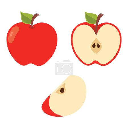 Illustration Of Various Apple Shapes