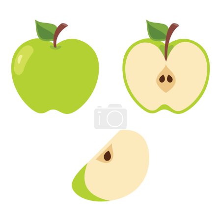 Photo for Illustration Of Various Apple Shapes - Royalty Free Image