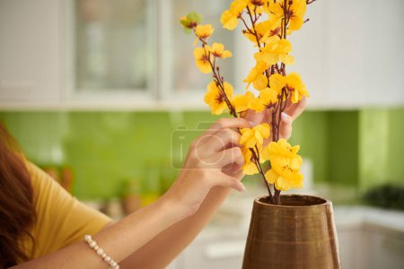 Foto de Housewife putting blooming apricot branches in vase when decorating house for Tet - Imagen libre de derechos