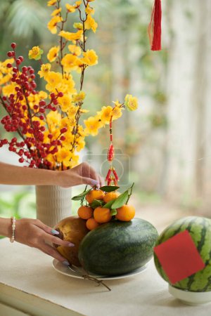 Téléchargez les photos : Hands of woman putting watermelon and mandarins on table next to vase with apricot branches - en image libre de droit