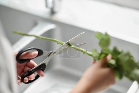 Photo for Hands of woman cutting flower stem above kitchen sink - Royalty Free Image