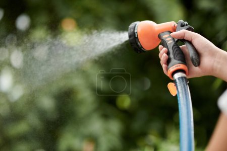Téléchargez les photos : Closeup image of woman watering plants and flowers in backyard - en image libre de droit