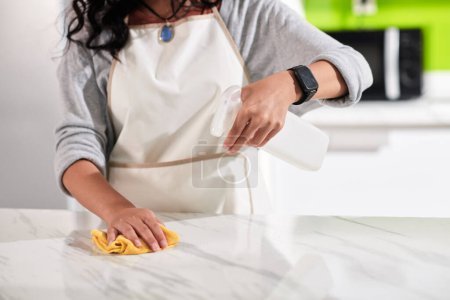 Téléchargez les photos : Femme au foyer essuyant comptoir de cuisine avec détergent de nettoyage et chiffon doux - en image libre de droit