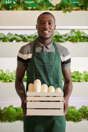 Téléchargez les photos : Portrait of smiling grocery store worker with box of daikon white radish - en image libre de droit