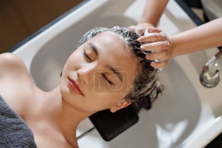 Téléchargez les photos : Hairdresser washing hair of female client, view from above - en image libre de droit