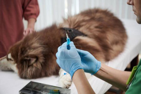 Photo for Hands of veterinarian holding syringe with vaccine for dog - Royalty Free Image