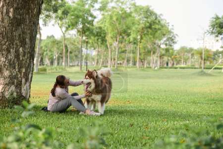 Photo for Woman playing with samoyed dog in city park - Royalty Free Image