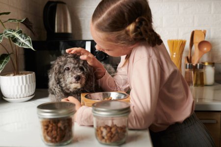 Téléchargez les photos : Fille tapote chien sur la tête après l'avoir nourrie avec de la nourriture sèche - en image libre de droit