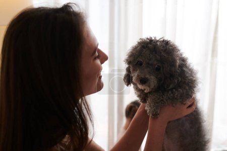 Photo for Smiling female owner holding her adorable curly miniature poodle dog - Royalty Free Image